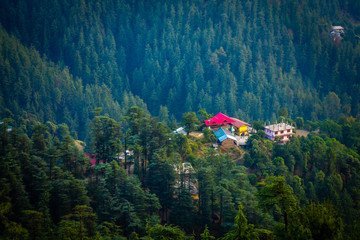 shimla-manali-1.jpg