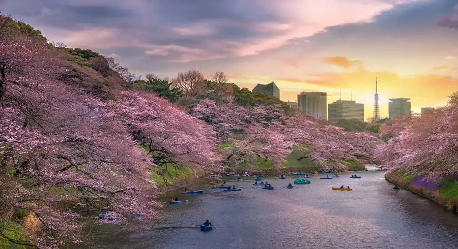 Chidorgafuchi , Tokyo