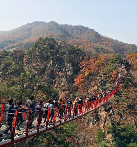 DMZ (Demilitarized Zone) – korea