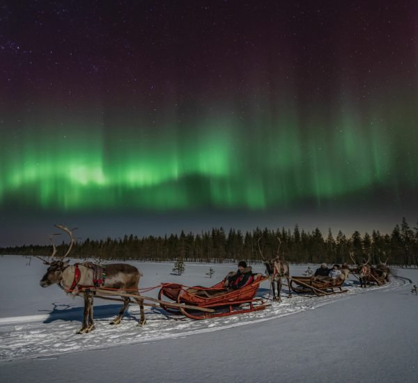 Reindeer Sleigh Ride