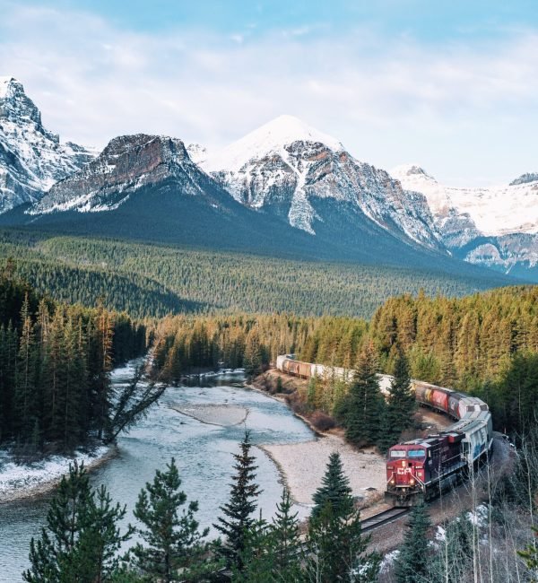 A vertical high angle shot of a train riding in the forest near the mountains under the bright sky