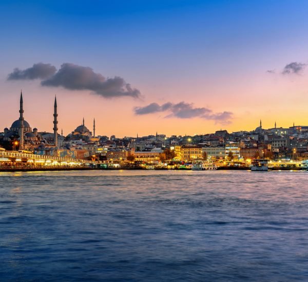 Panoramic of Istanbul city at twilight in Turkey.