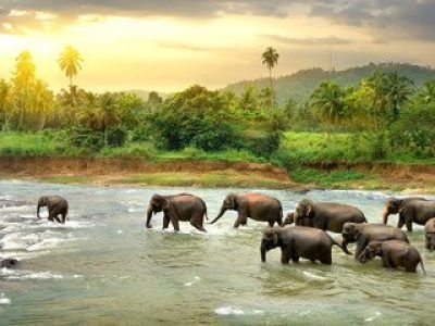 srilanka-2.jpg srilanka-2.jpg